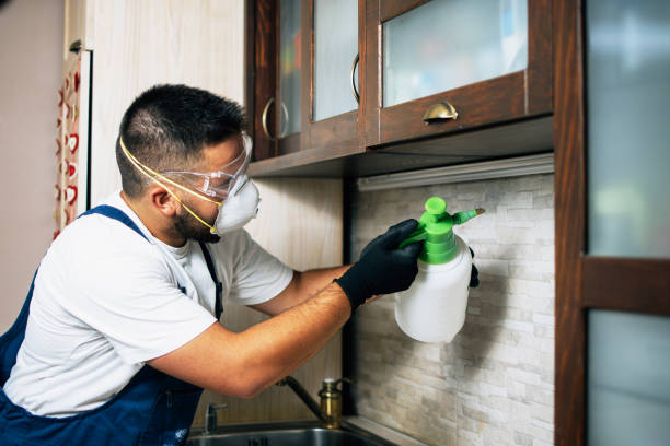 Best Exterminator Services  in Fremont, OH