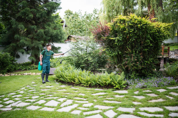 Professional Pest Control in Fremont, OH