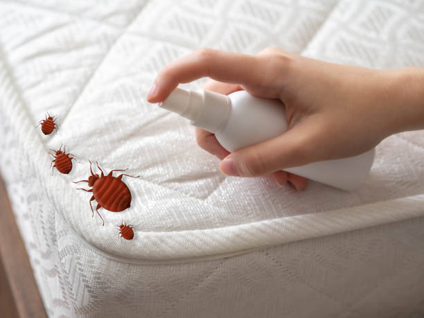 Best Local Pest Control Services  in Fremont, OH